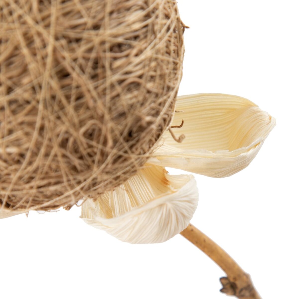 Branch Beige Bamboo Natural Fibre Flower 8 x 8 x 156 cm